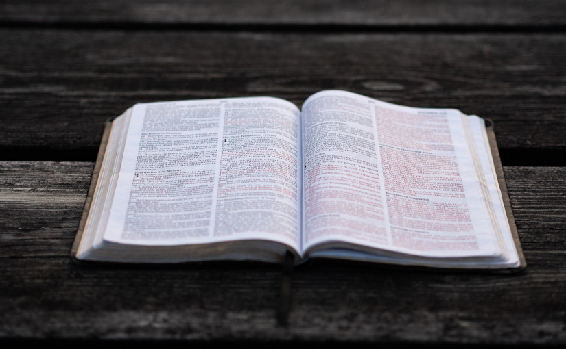 Lo que la Biblia contiene y&nbsp;ofrece.