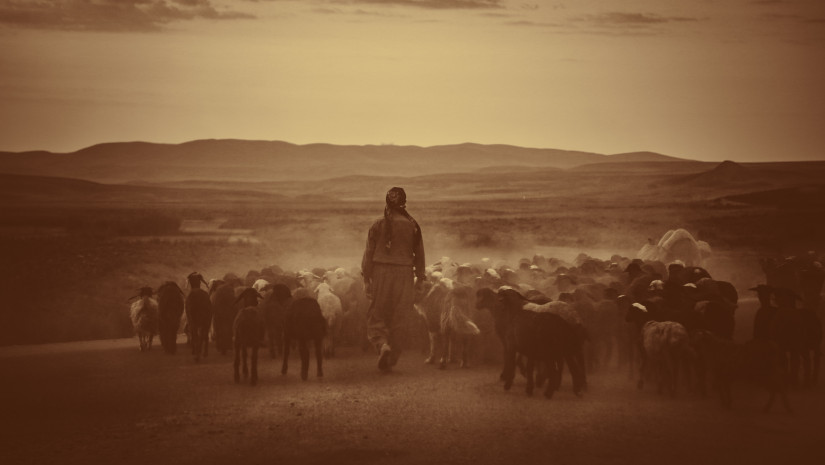 La relación entre el buen Pastor y Sus&nbsp;ovejas.