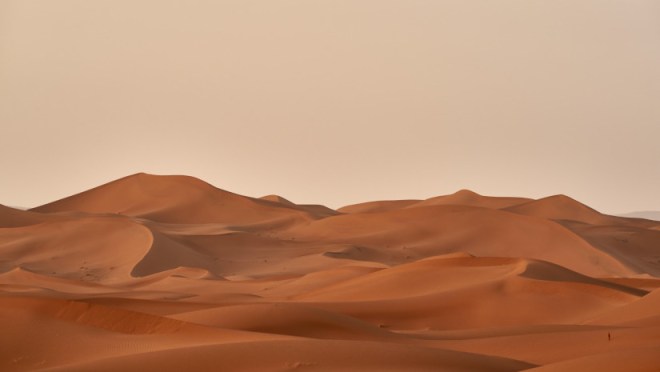Campo desierto