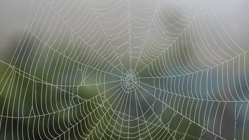 Brooks sobre “12 artimañas de Satanás para atraer el alma al&nbsp;pecado”.
