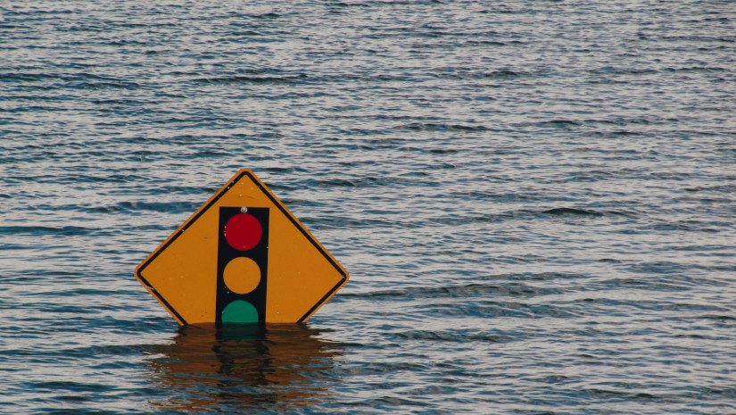 Reflexionando en el&nbsp;diluvio.