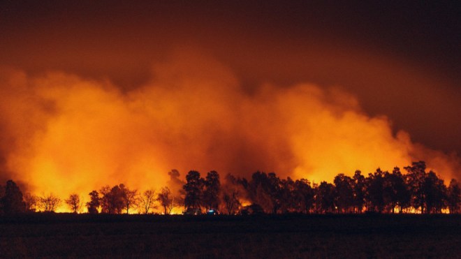 Incendio forestal