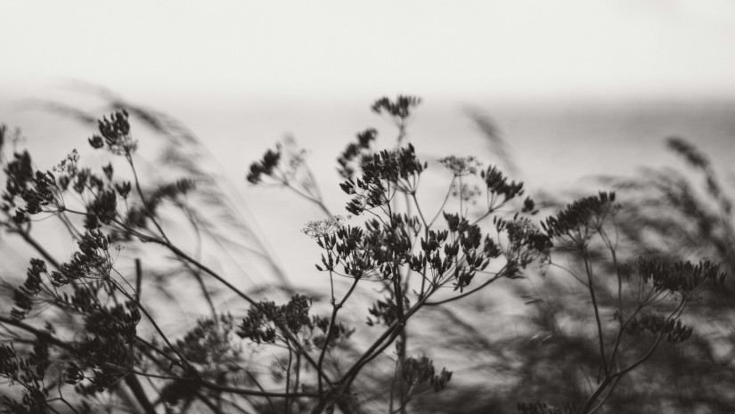 El mensaje del Sábado del&nbsp;Silencio.